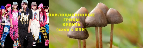 дмт Горно-Алтайск