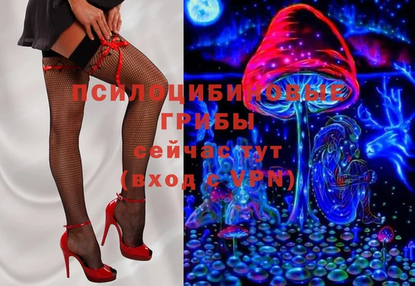 a pvp Ельня