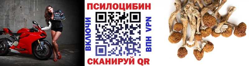 Псилоцибиновые грибы GOLDEN TEACHER цены Остров